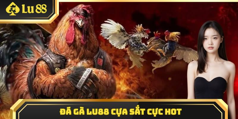 Đá gà Lu88 cựa sắt cực hot